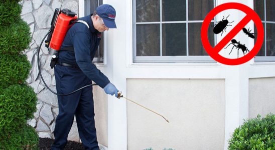 Feke Tahtakurusu İlaçlama böcek ilaçlama ve haşere kontrolü — ilaclama-tr.com